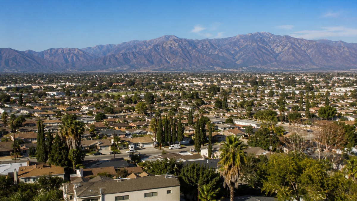 DIY Pest Control vs Professional Pest Control: What Actually Works in the Inland Empire?
