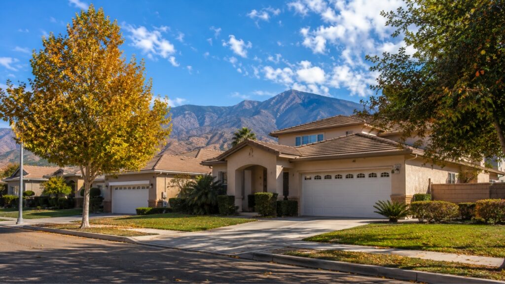 How Often Should Homes in San Bernardino Be Treated for Pests?