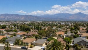 Is Year-Round Pest Control Worth It in Southern California?