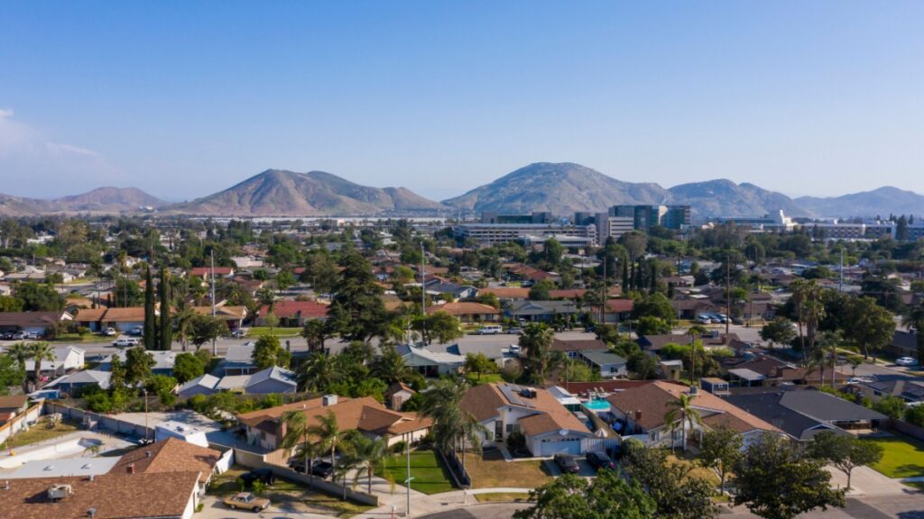 Why Are Bugs So Bad This Year in Fontana and San Bernardino?