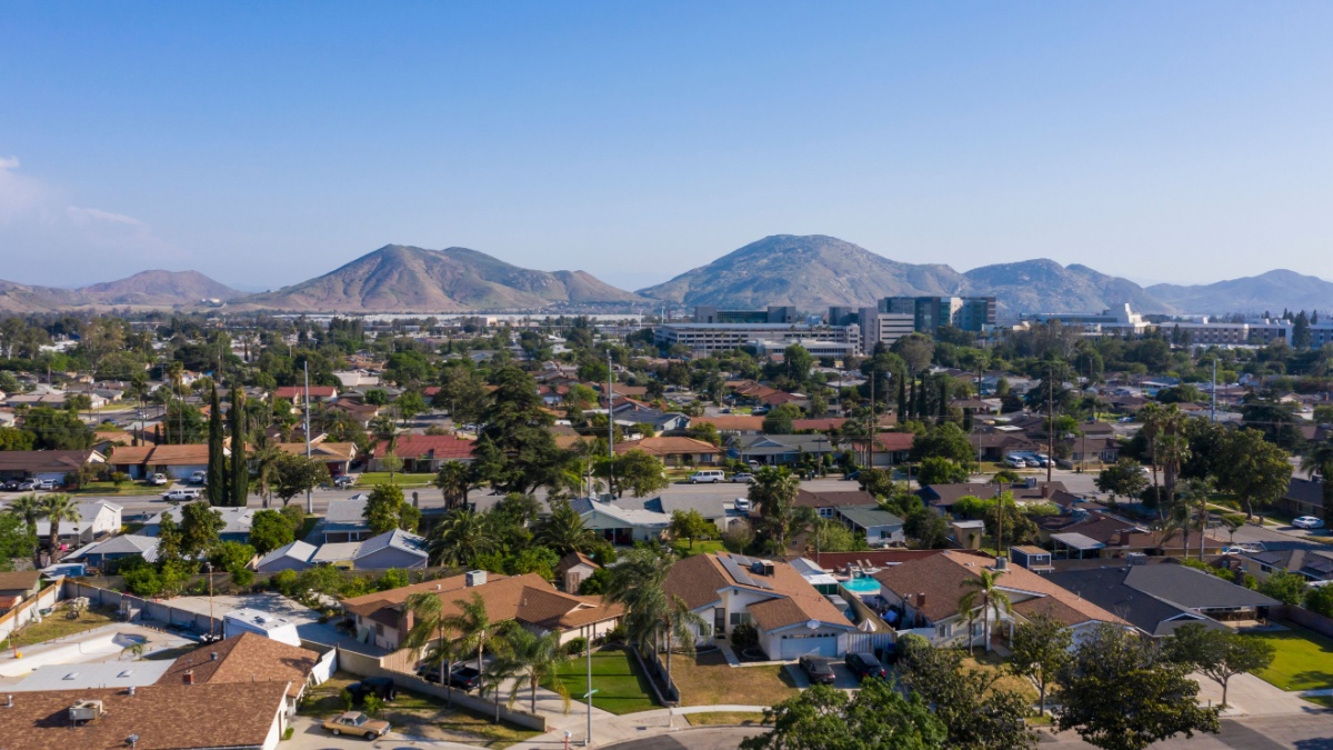 Why Are Bugs So Bad This Year in Fontana and San Bernardino?